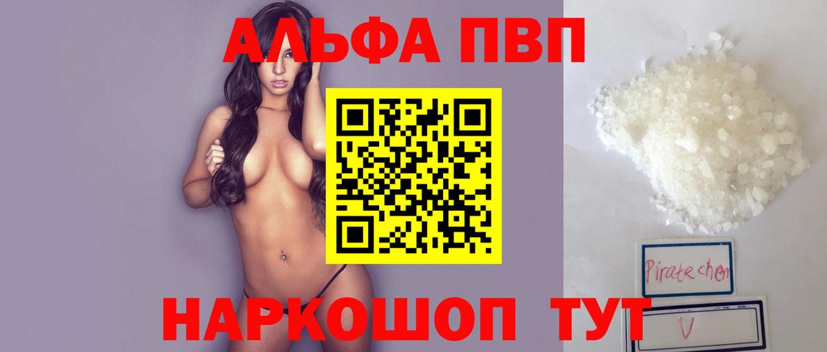 Alfa_PVP СК Великий Новгород