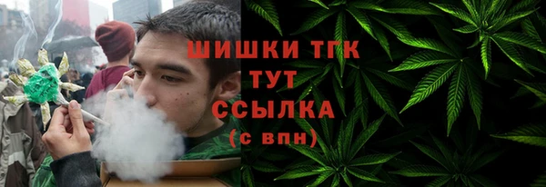 МДПВ Абаза