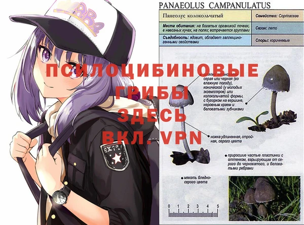 МДПВ Абаза