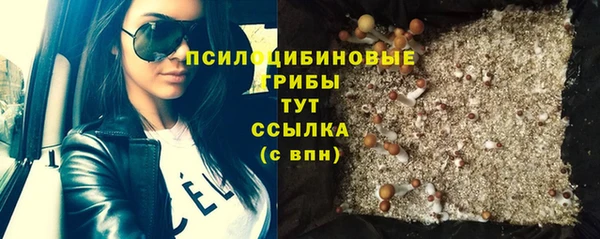 бошки Абинск