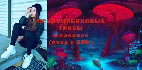 PSILOCYBIN Абдулино