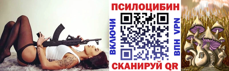 Псилоцибиновые грибы Psilocybine cubensis  omg как зайти  Великий Новгород 