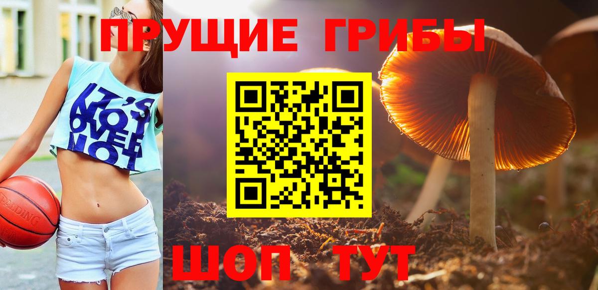 Псилоцибиновые грибы Cubensis  Вход с VPN  Великий Новгород 